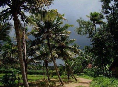 Kerala Pretty Holidays